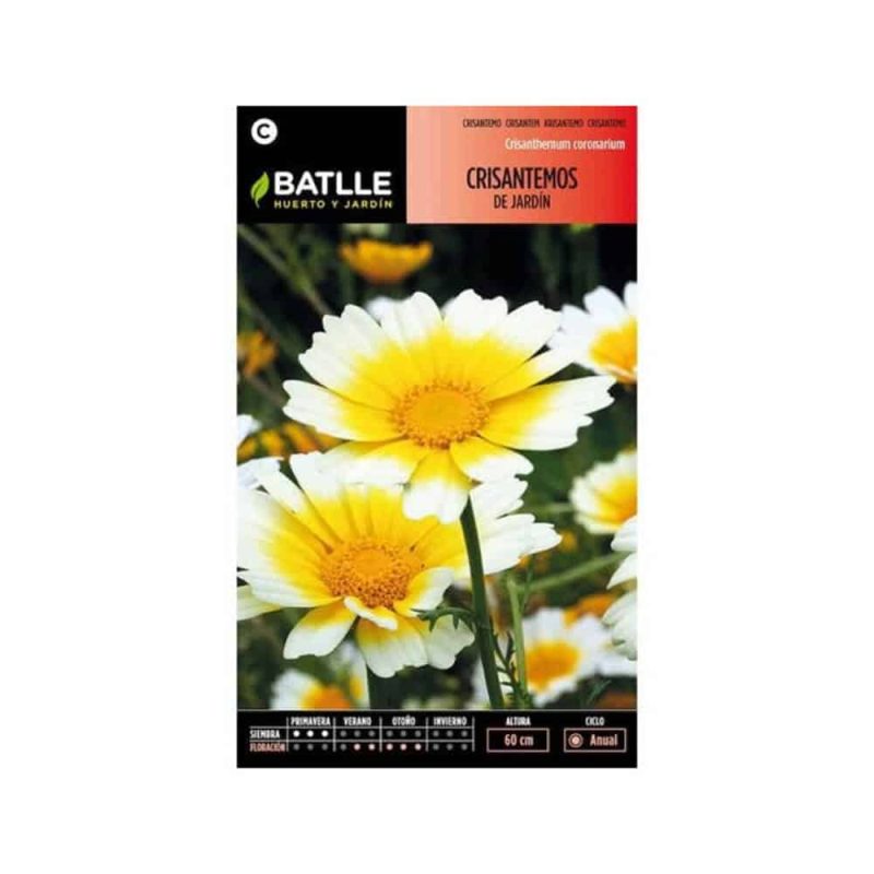 937437.jpg Graines Chrysanthemes De Jardin – Image 1