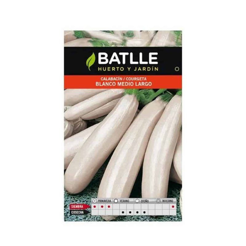 937446.jpg Graines De Courgette Blanche – Image 1