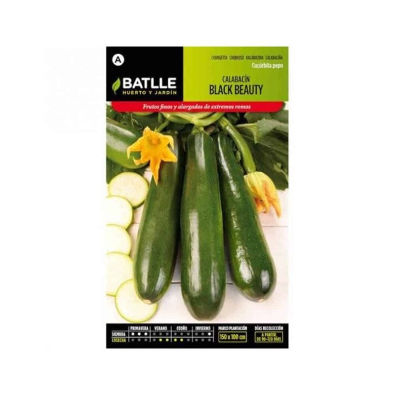 Graines De Courgette Noire – Image 1