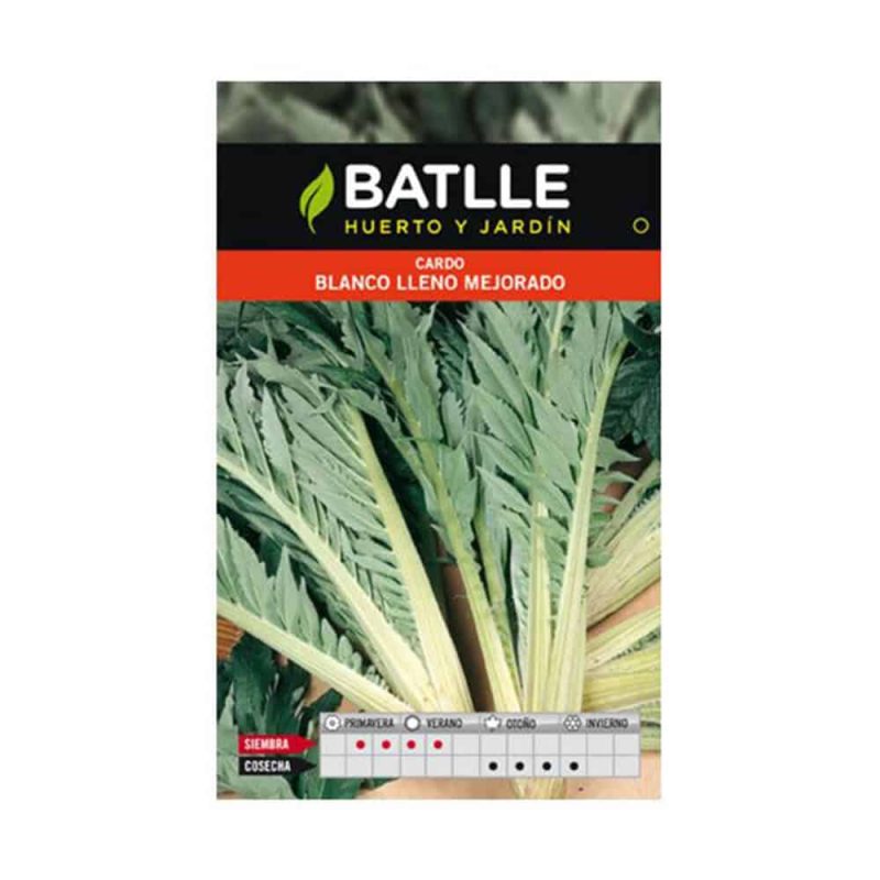 Graines De Chardon Blanc – Image 1