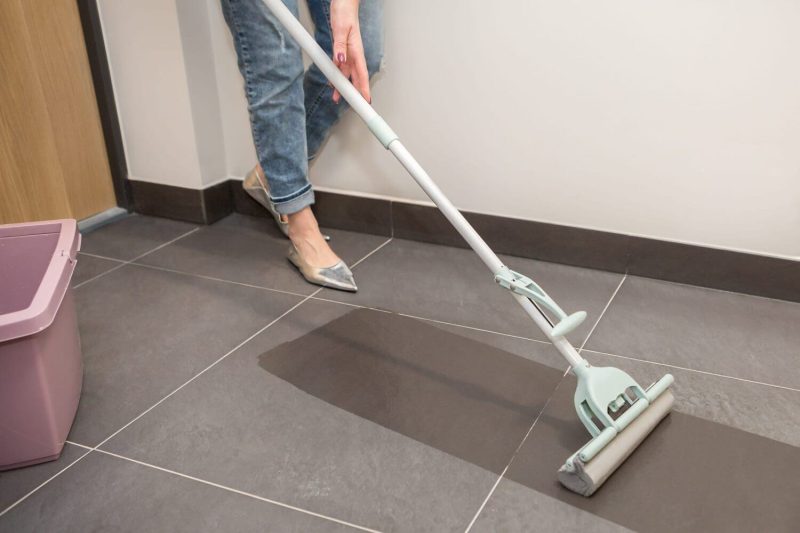 Vadrouille Éponge Avec Manche Télescopique – Image 4