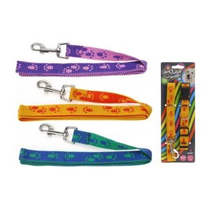 Kit Collier Et Laisse Pour Chien