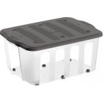 Boîte De Rangement Transparente Avec Couvercle 110L Anthracite