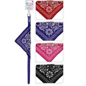 Collier pour chien avec écharpe