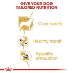 Paté Chihuahua 85G - Royal Canin – Image 2