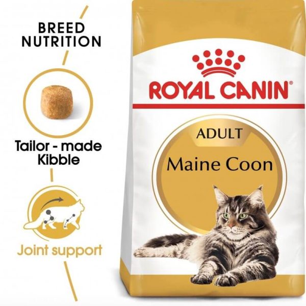 Croquette maine coon pour chat 2kg – royal canin