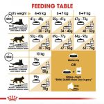 Croquette maine coon pour chat 2kg – royal canin – Image 3