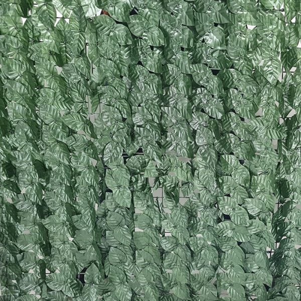 Brise vue en rouleau 100x300 cm