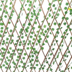 Brise vue treillis extensible 100x200 cm