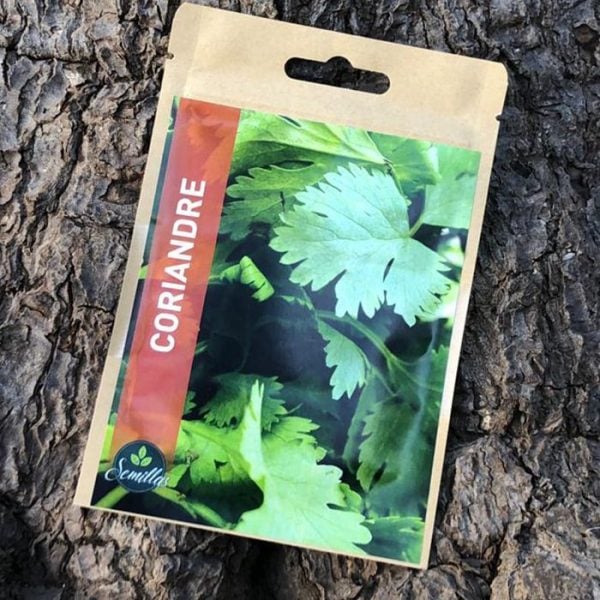 Sachet De Graines Coriandre
