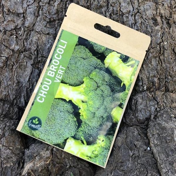 Sachet De Graines Chou Brocoli Vert