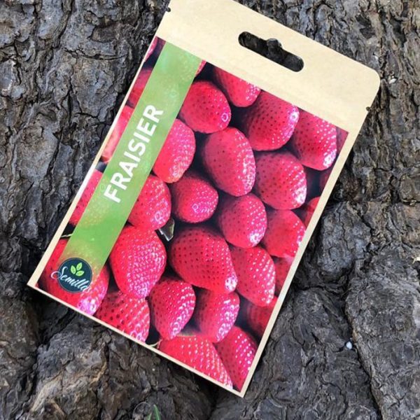 Sachet De Graines Fraisier