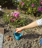 Plantoir À Bulbes Gardena – Image 2
