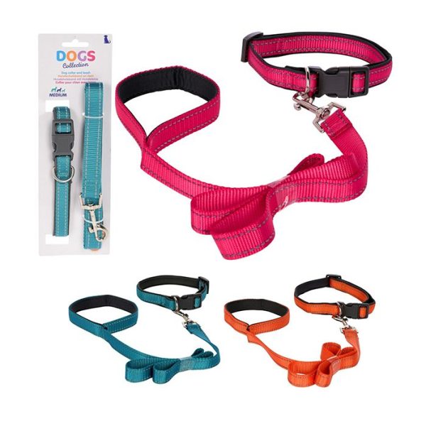 Collier a/chien en nylon 25-40x2cm+ laisse 100x2cm