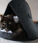 Niche pour chat 2 assortiments au choix