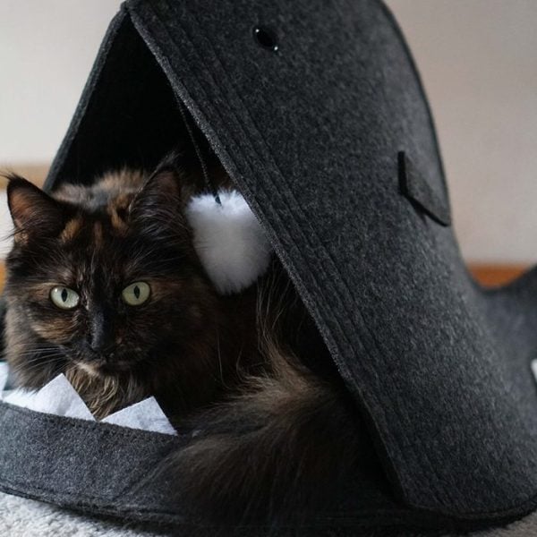 Niche pour chat 2 assortiments au choix
