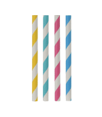 Pailles Papier 12Cm - S/48Pcs