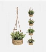 Plante Artificielle 4Ass