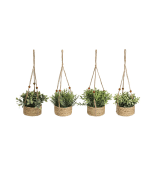 Plante Artificielle 4Ass – Image 7