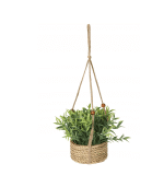 Plante Artificielle 4Ass – Image 6