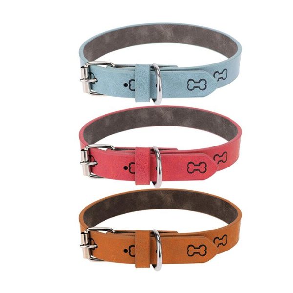 Collier pour chien
