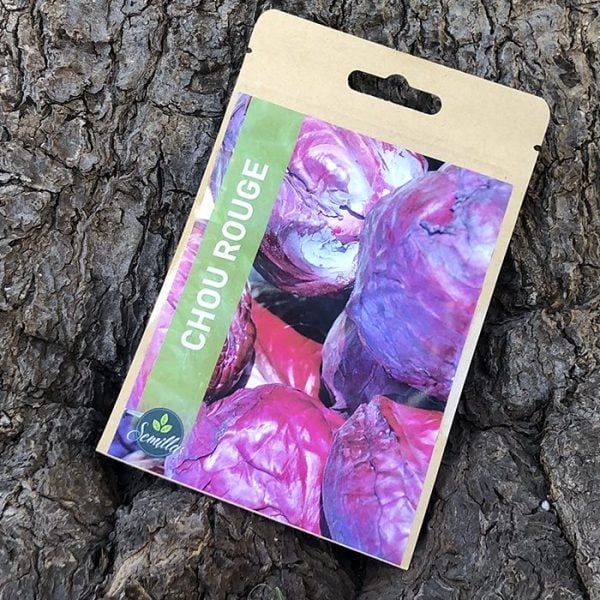 Sachet De Graines Chou Rouge