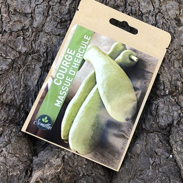 Sachet De Graines Courge Massue D'Hercule