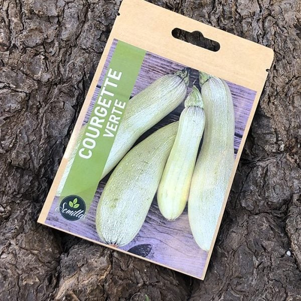 Sachet De Graines Courgette Verte