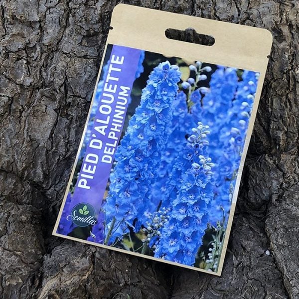 Sachet De Graines Pied D'Alouette -Delphinium -
