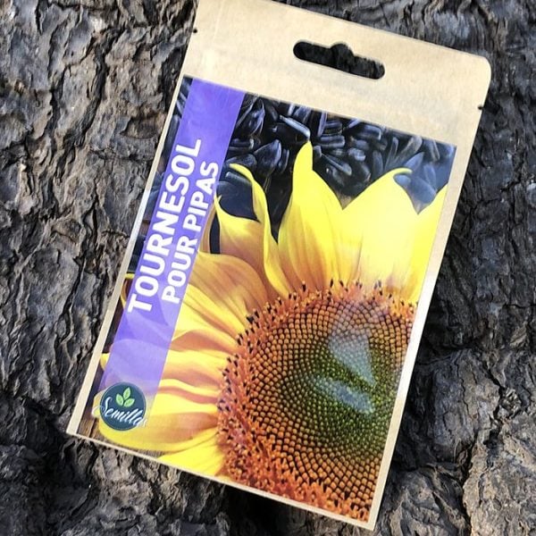 Sachet De Graines Tournesol Pour "Pipas"