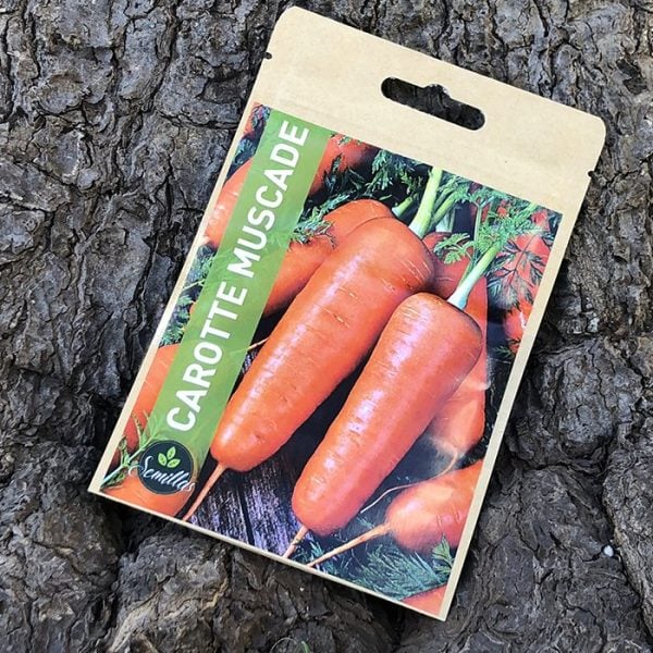 Sachet De Graines Carotte Muscade