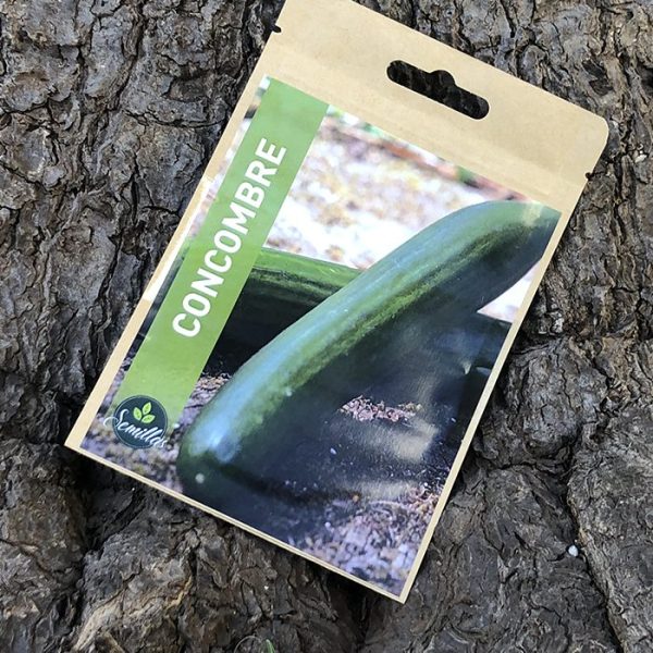 Sachet De Graines Concombre