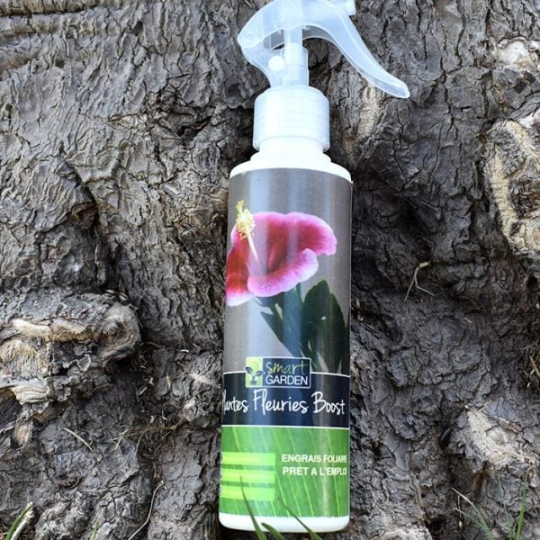 Plantes Fleuries Boost Smart Garden 250Ml