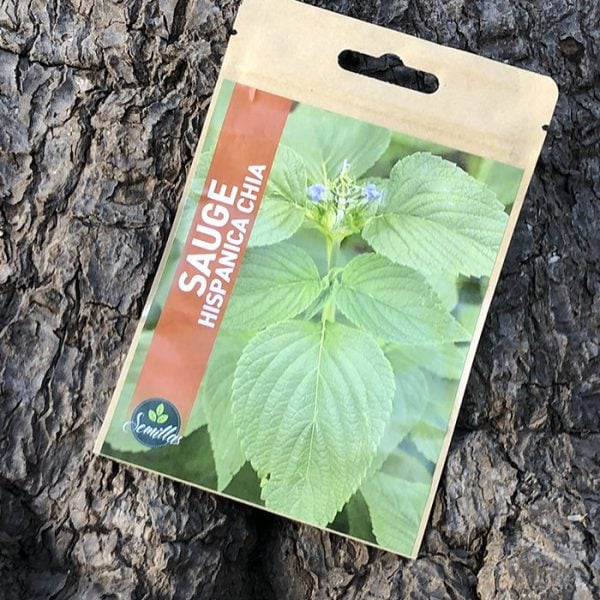 Sachet De Graines Sauge Hispanique