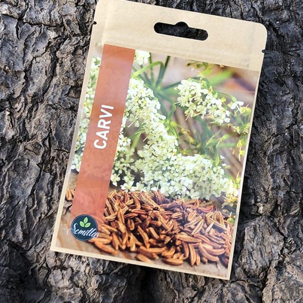 Sachet De Graines Carvi