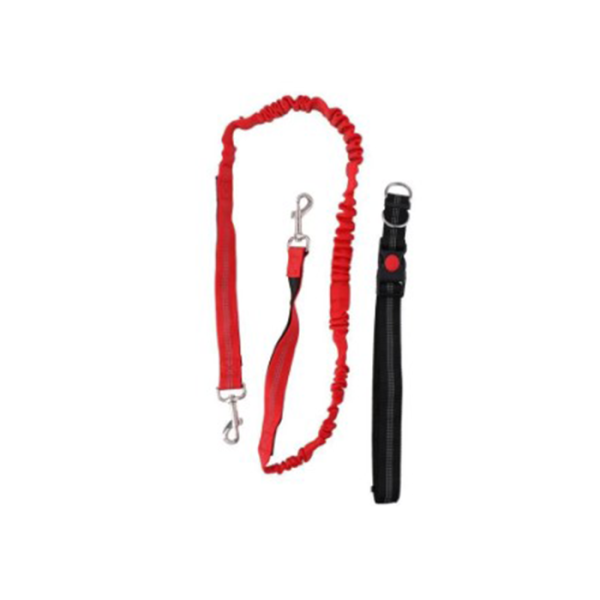 Laisse Pour Chien 115 Cm