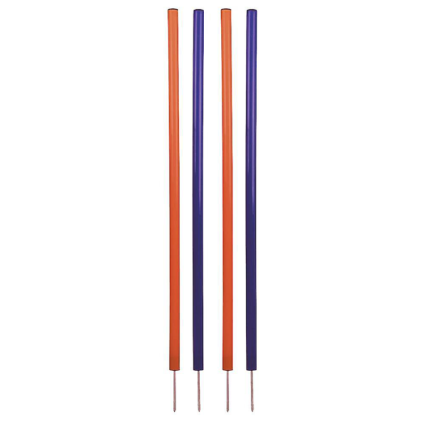Ensemble de slalom chien