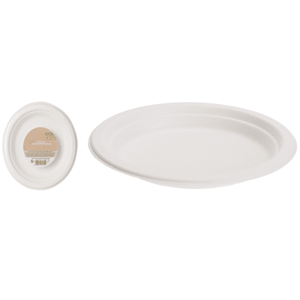 Assiette canne à sucre