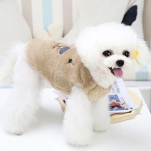 Veste En Coton Baby Bear Kaki S