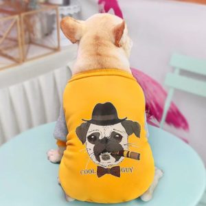 Pull Bouldogue En Coton Jaune M