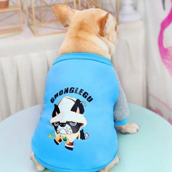 Pull Bouldogue En Coton Bleu M
