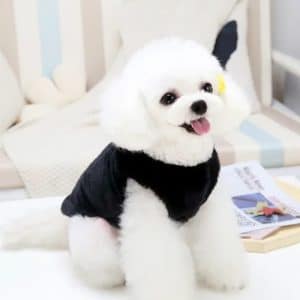 Veste En Coton Baby Bear Noir M