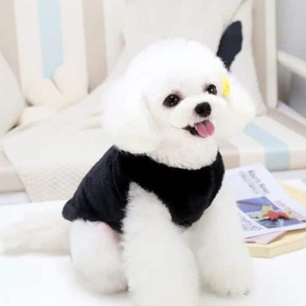 Veste En Coton Baby Bear Noir M