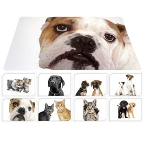 Set De Table Pour Animaux 37X56Cm