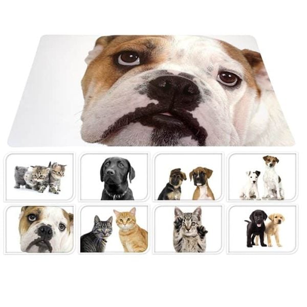 Set De Table Pour Animaux 37X56Cm