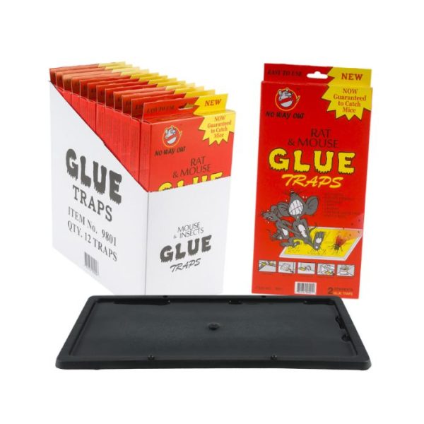 Piège À Colle Pour Rats Et Souris