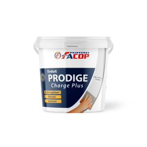 Enduit de charge pâte Prodige 25 kg