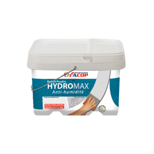 Hydromax Enduit Poudre Anti-Humidité 5 Kg