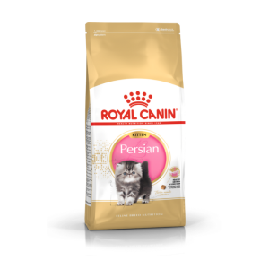 Croquettes chat persian