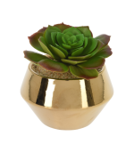 Plante Artificielle 13X17Cm – Image 3